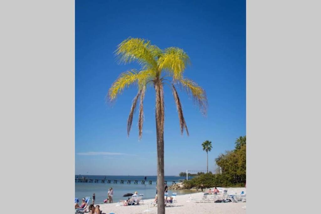 River Delight,Studio109, Beach & Pool Steps Away + Wifi Ruskin Exterior foto